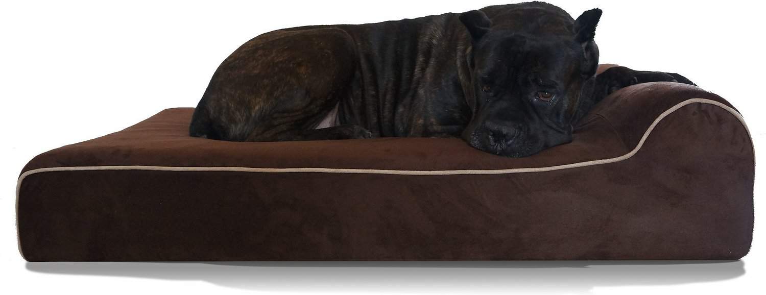 9 Best Dog Beds For Huskies From Bargain Pick To Best Overall!