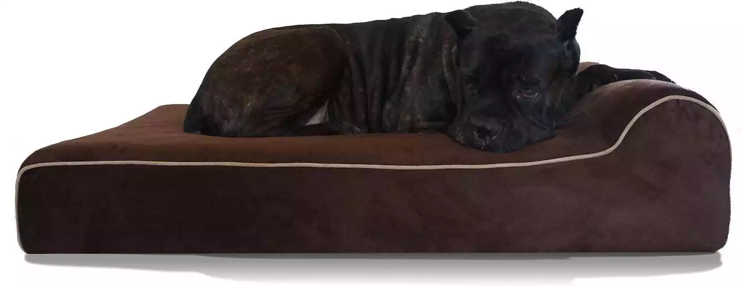 Bully Beds Orthopedic Dog Bed
