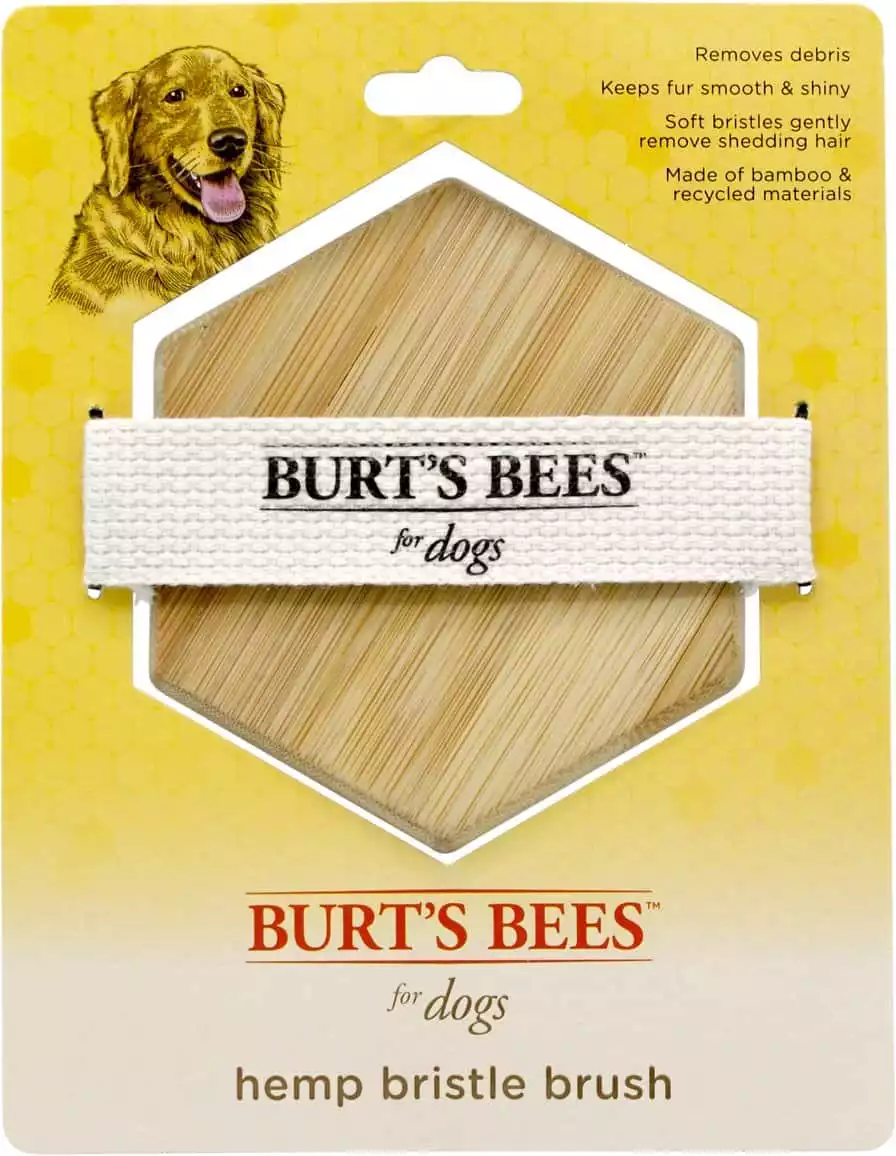 Burt's Bees Palm Bristle Brush