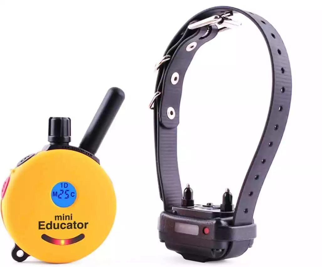 Educator By E-Collar