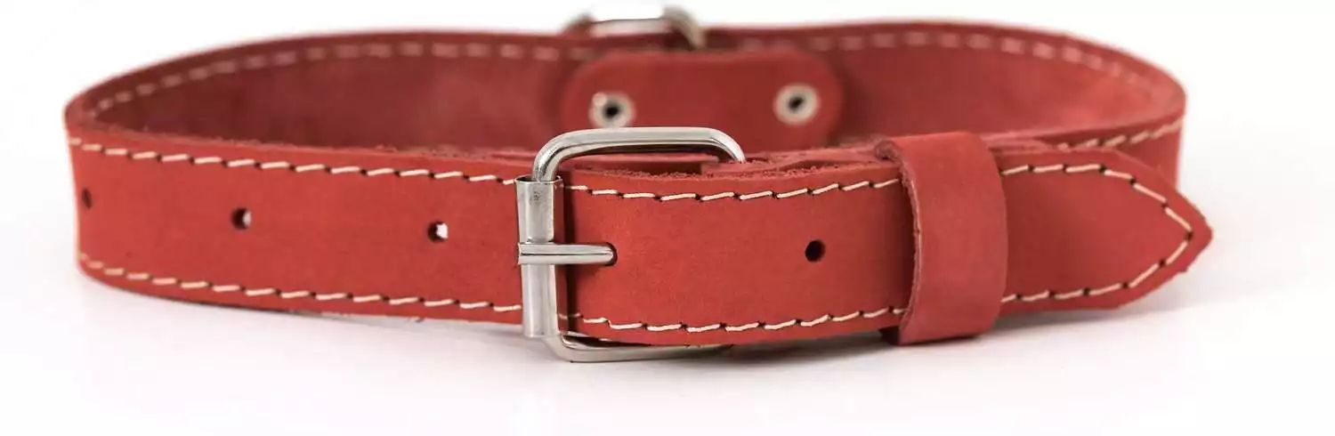 Euro-Dog Leather Collar