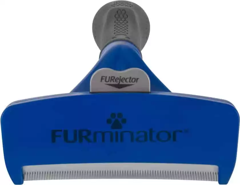 FURminator Short Hair Deshedder