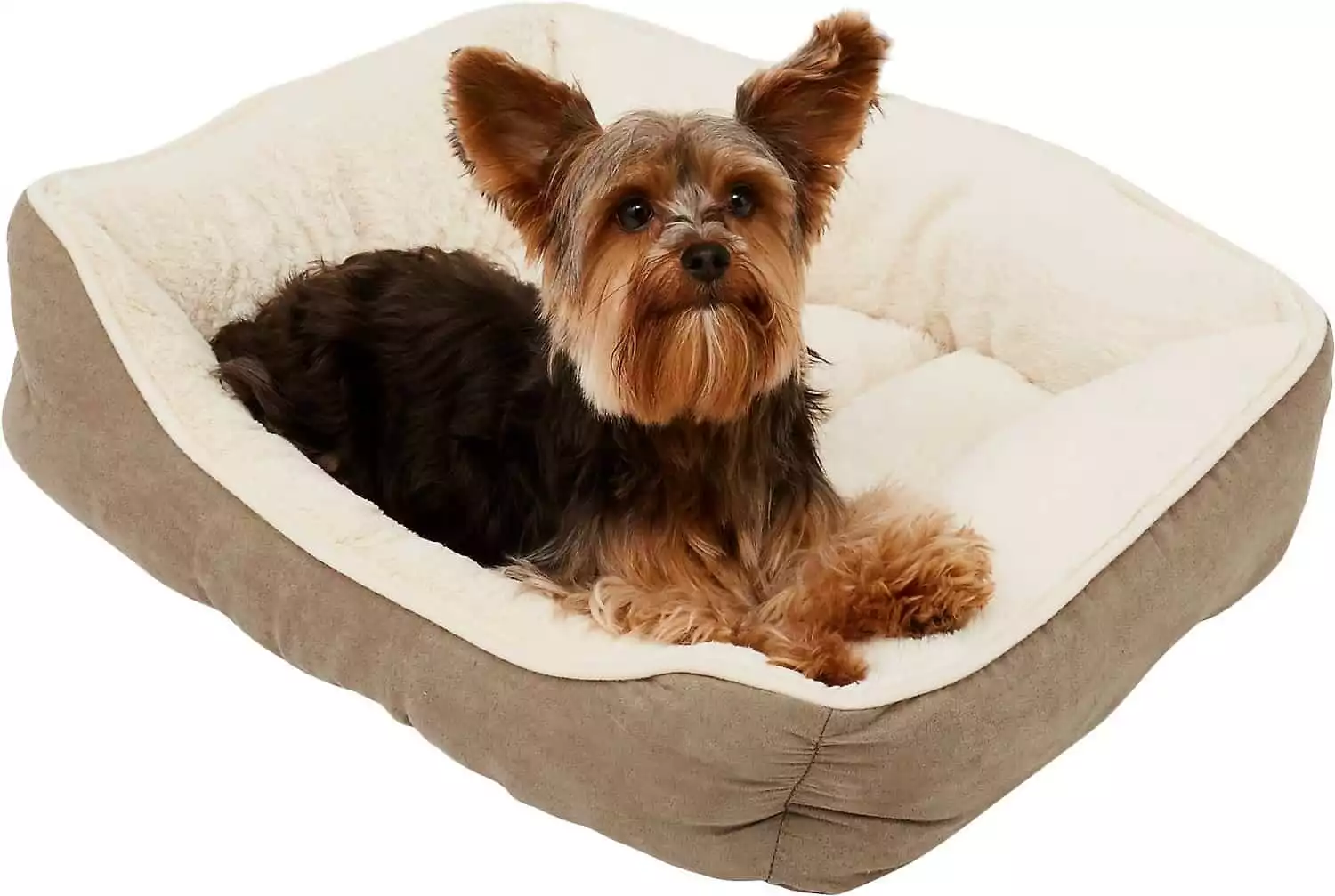 Frisco Bolster Dog Bed