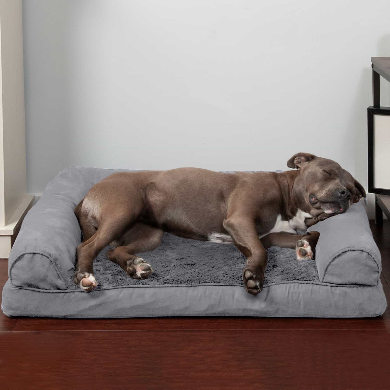 9 Best Dog Beds For Huskies From Bargain Pick To Best Overall!