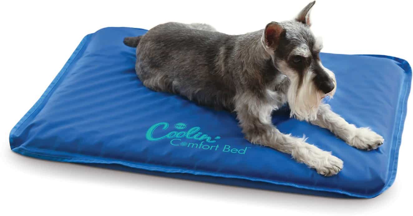 9 Best Dog Beds For Huskies From Bargain Pick To Best Overall!