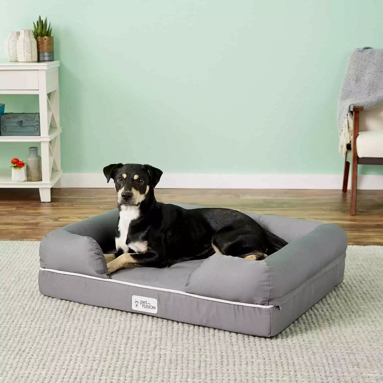 PetFusion Lounge Dog Bed