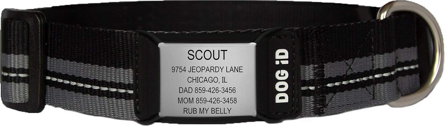 ROAD iD Personalized Collar