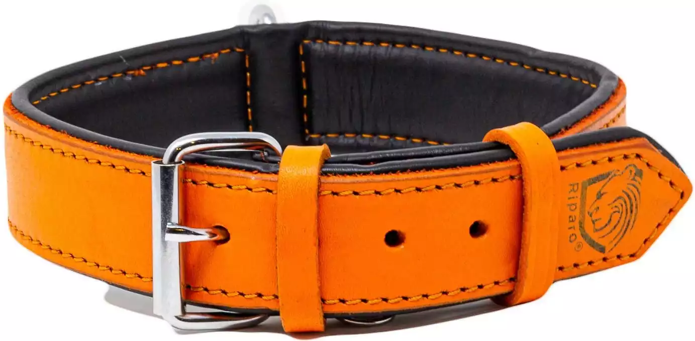 Riparo Heavy Duty K9 Collar