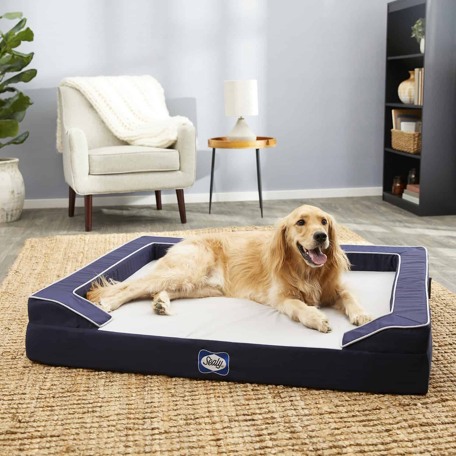 Sealy Lux Premium Dog Bed