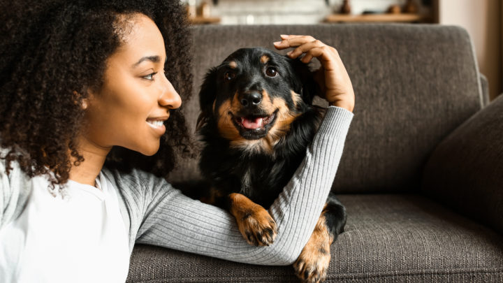 Why Does My Dog Follow Me To The Bathroom? 20 Reasons
