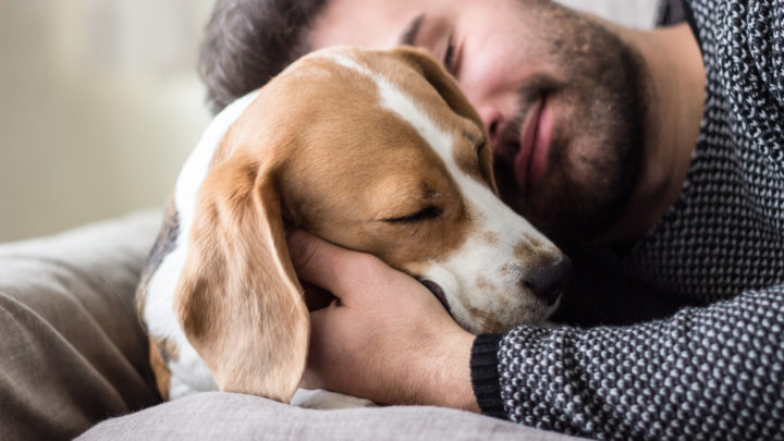 Why Does My Dog Sleep So Close To Me? Dog Behavior Explained