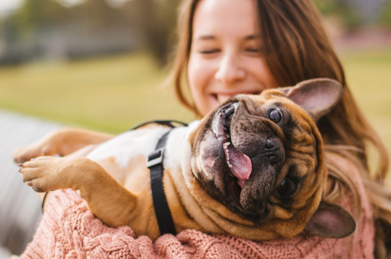 happy dog in owner arms