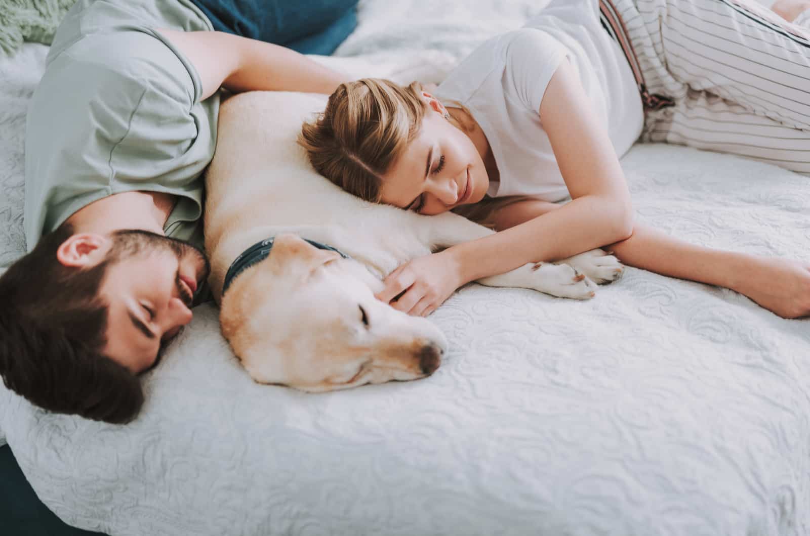 couple lie in bed with their dog