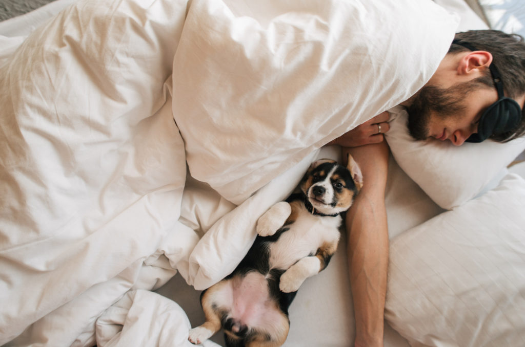 Why Does My Dog Sleep So Close To Me? Dog Behavior Explained