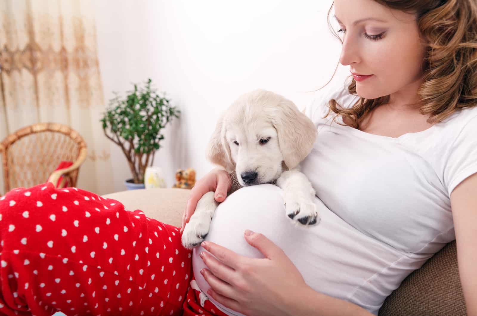 pregnant women with dog on her stomach