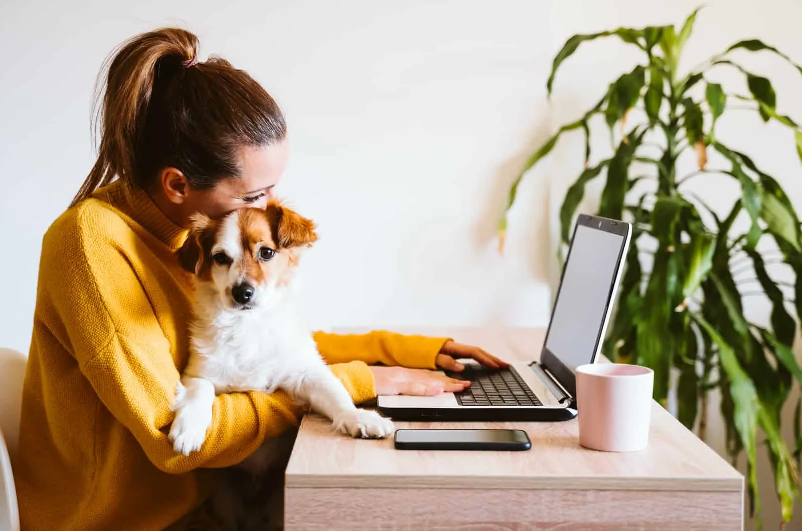 woman working while having dog in arms