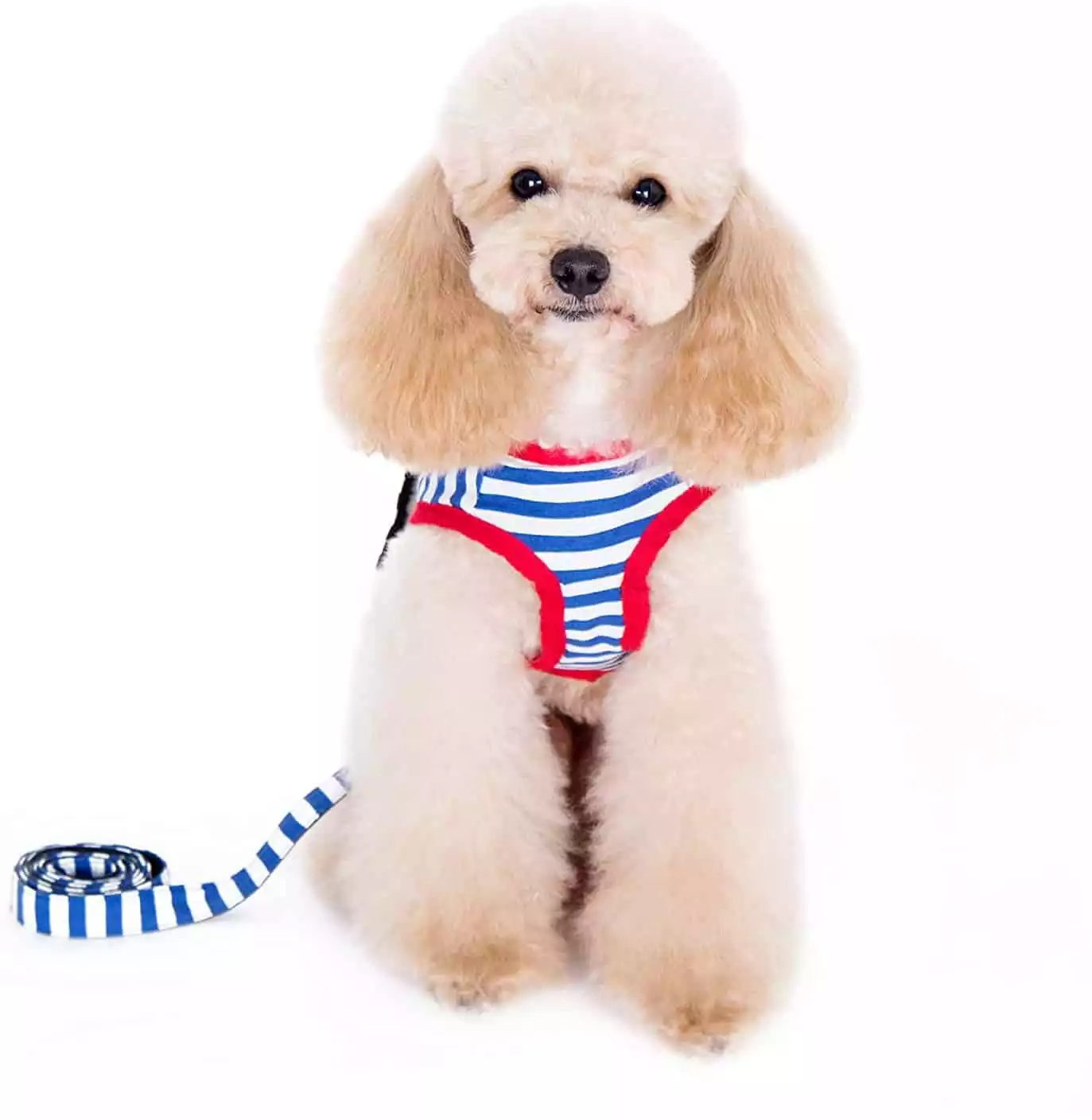 Alfie Pet Vince Sailor Harness