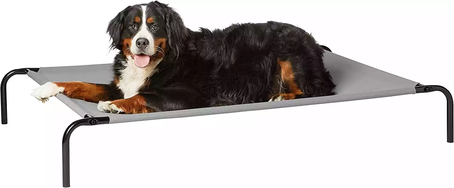 AmazonBasics Cooling Elevated Pet Bed