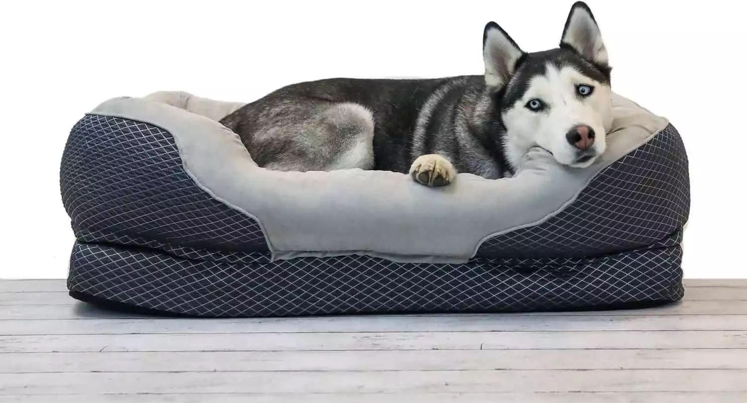 BarksBar Orthopedic Dog Bed