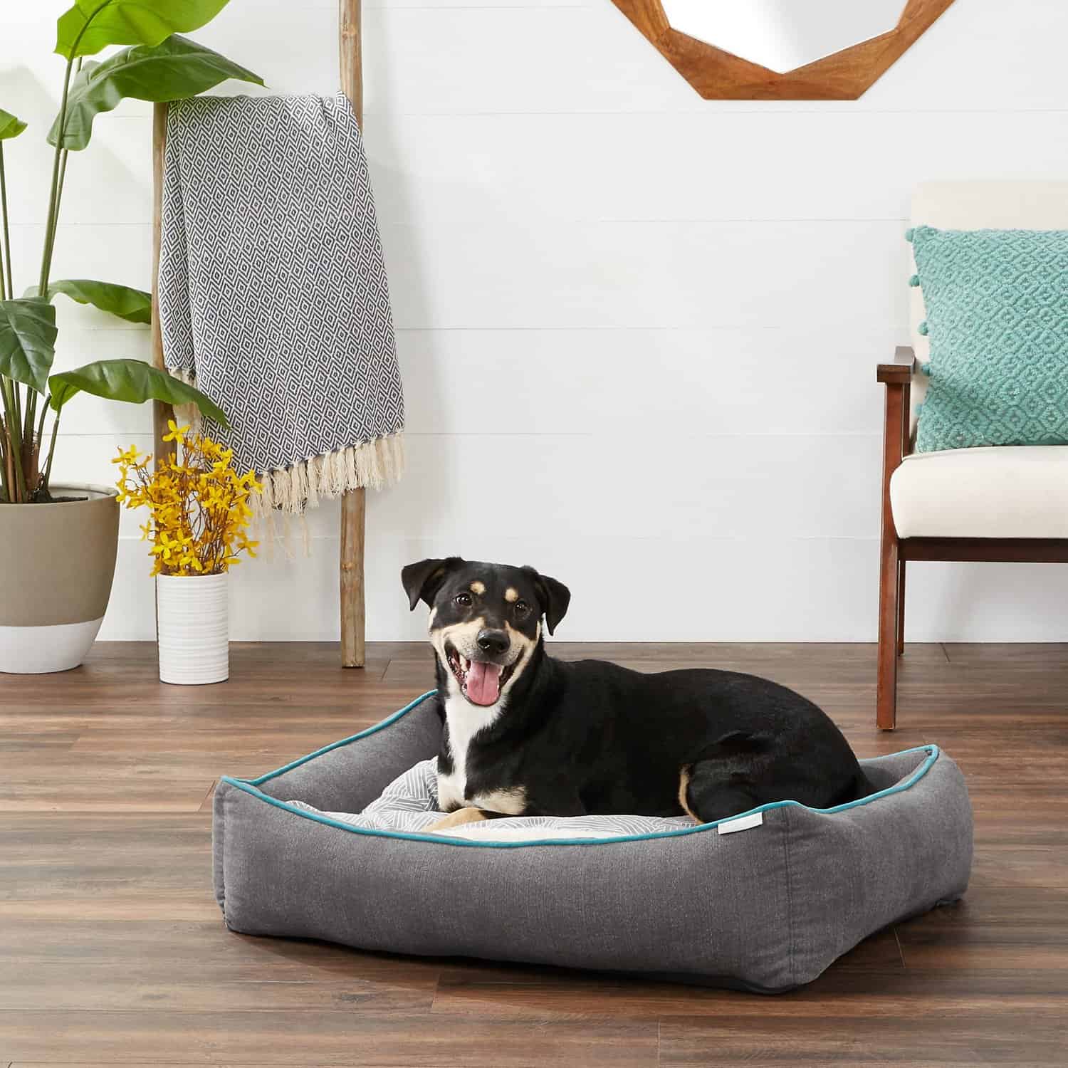 10 Best Dog Beds For Reviews And A Buyer's Guide