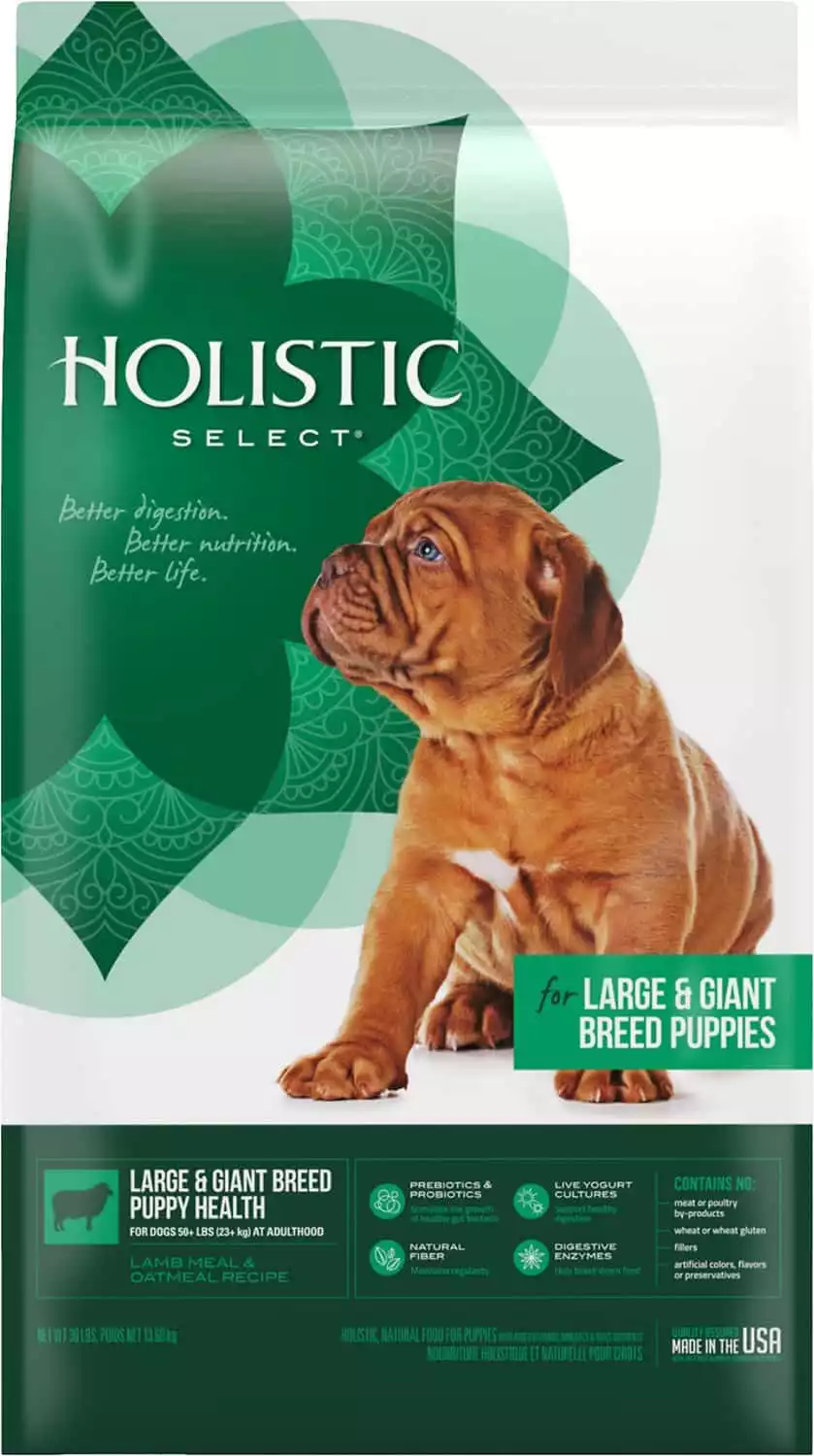 Holistic Select Large & Giant Breed