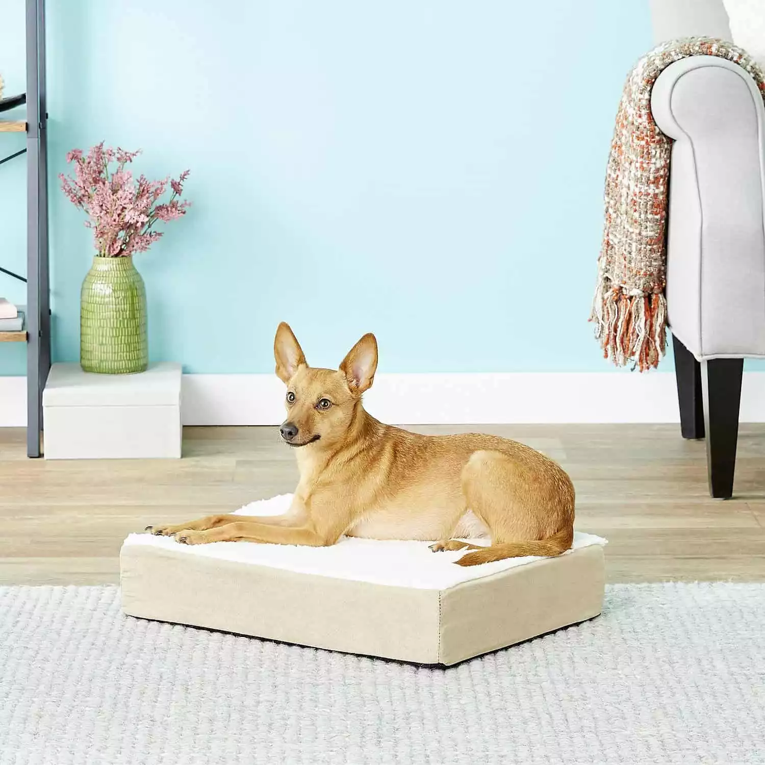 Petmaker Orthopedic Pillow Dog Bed