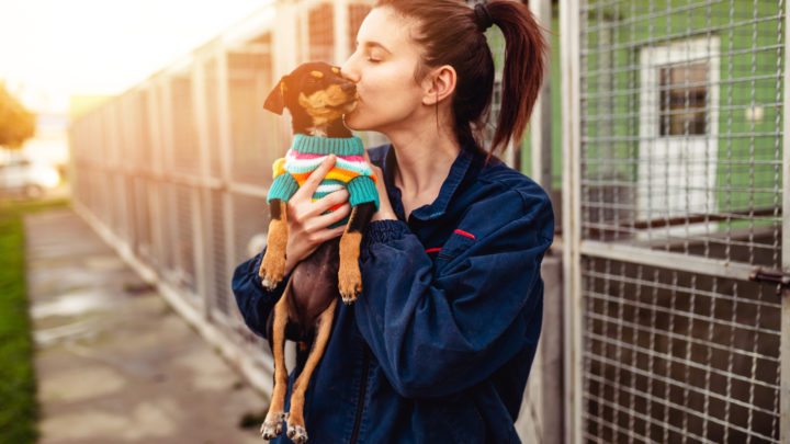 Rescue Dog Quotes: A Selection Of 50+ Best Sayings Ever