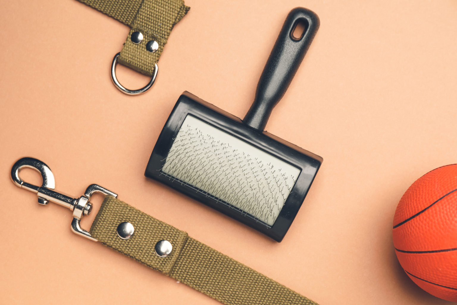 11 Best Brushes For French Bulldogs And A Buyer's Guide