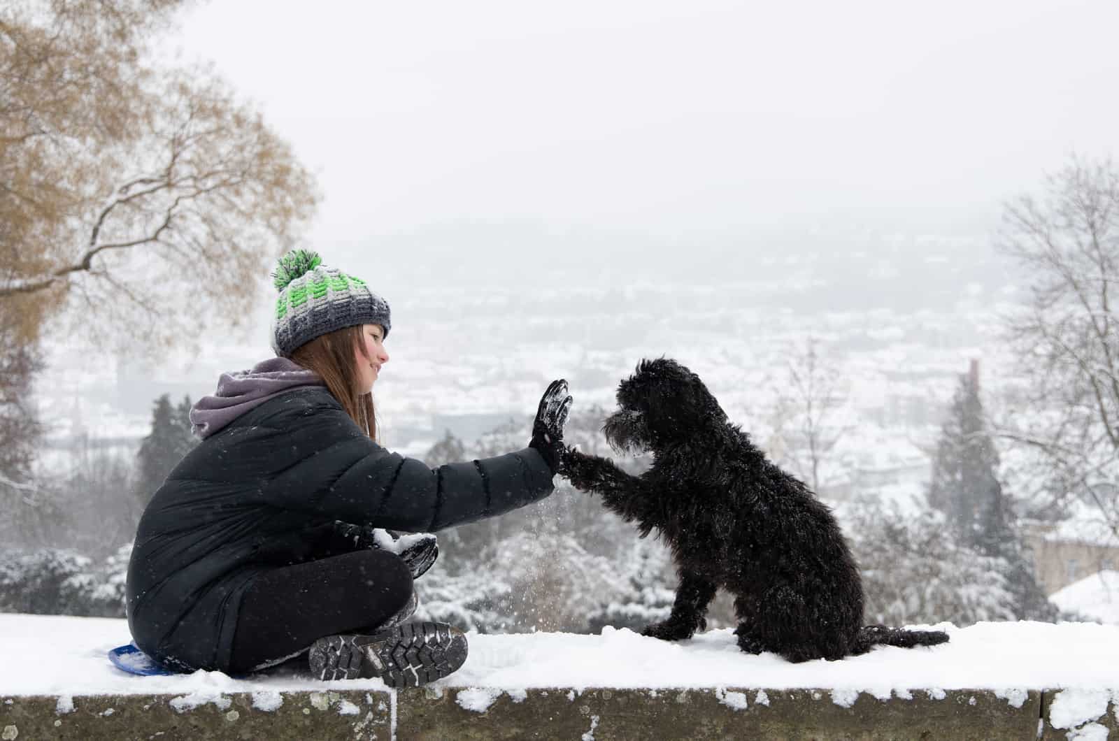 girl and dog sitting on wall outside