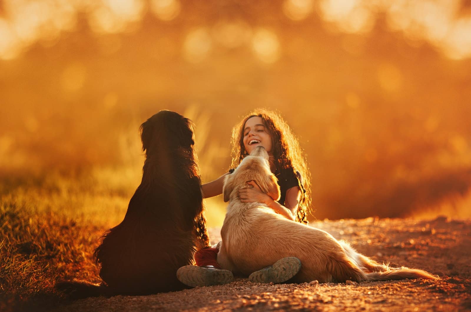 girl playing with her two dogs