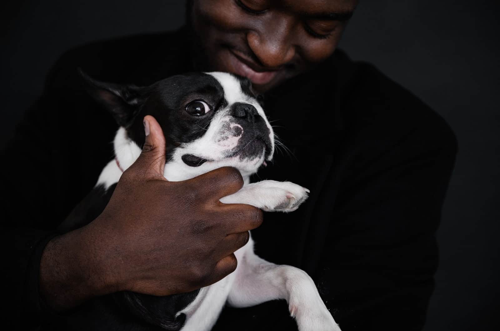 man holding a boston terrier