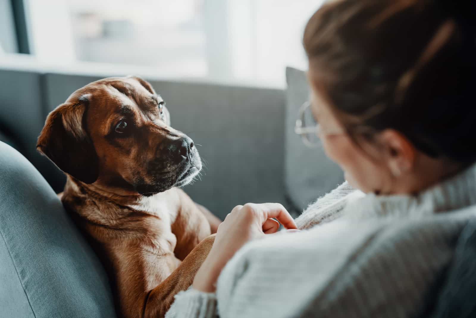 woman and dog on couch close up