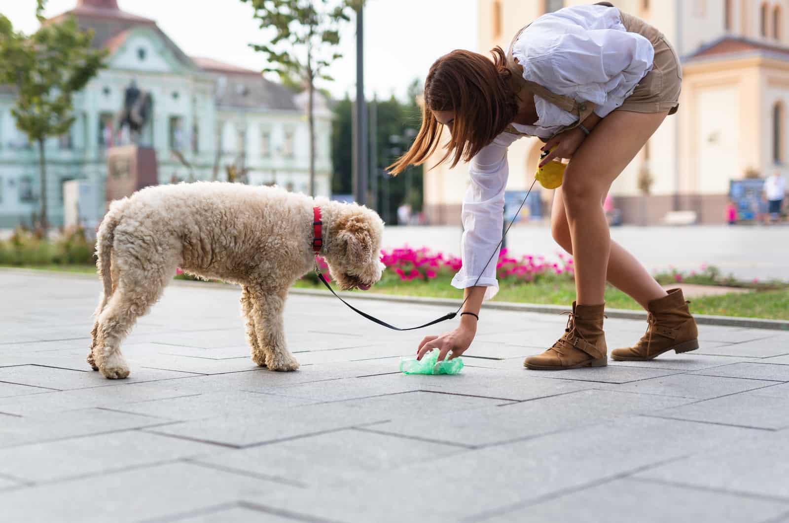 woman cleaning after her dog on street