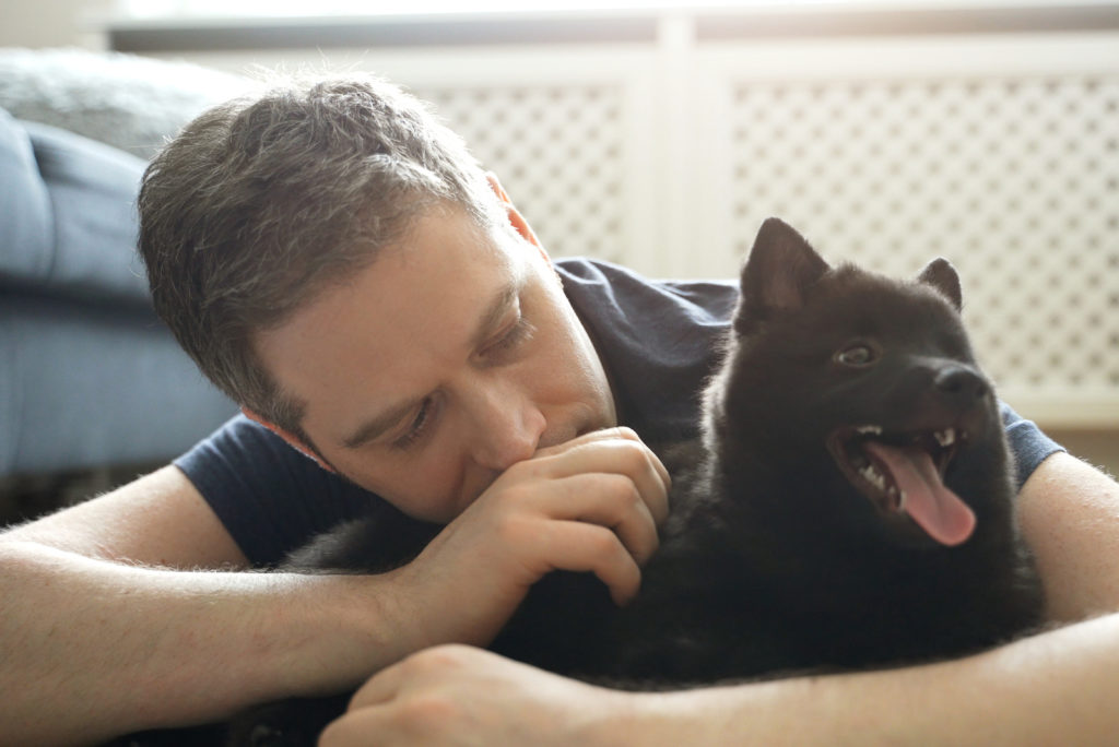 My Dog's Head Is Hot 4 Common Causes & How To Help