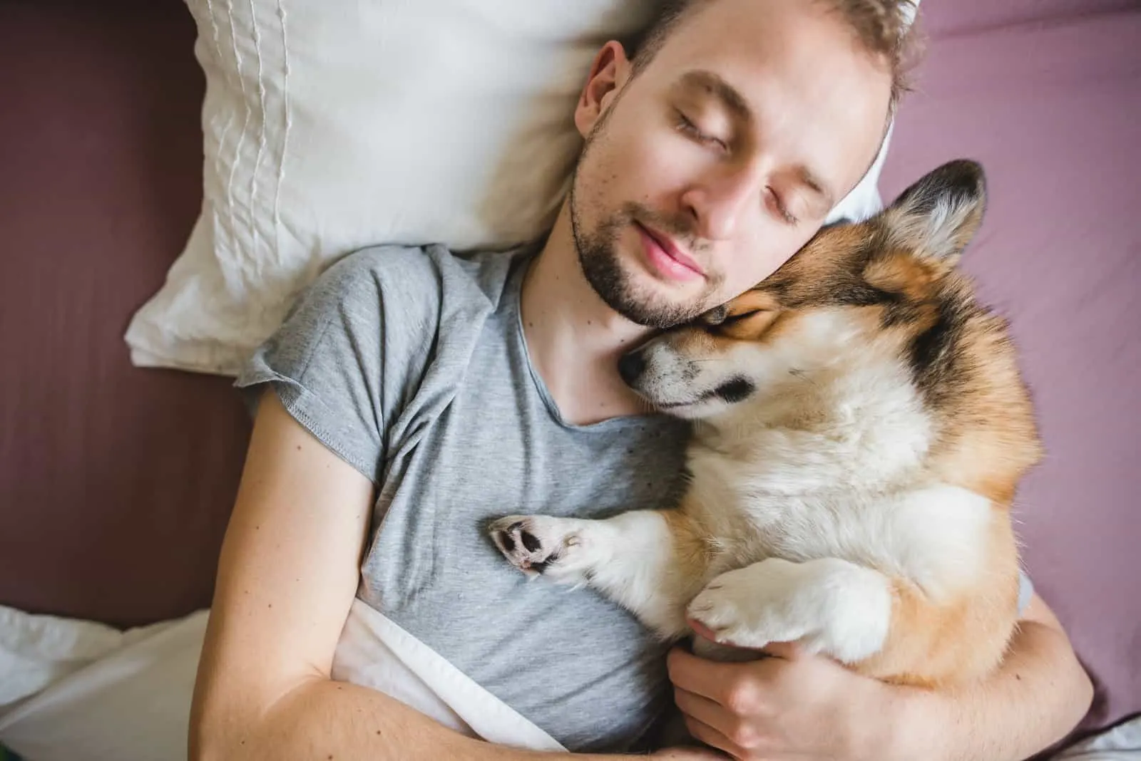 Dog and owner sleeping on bed