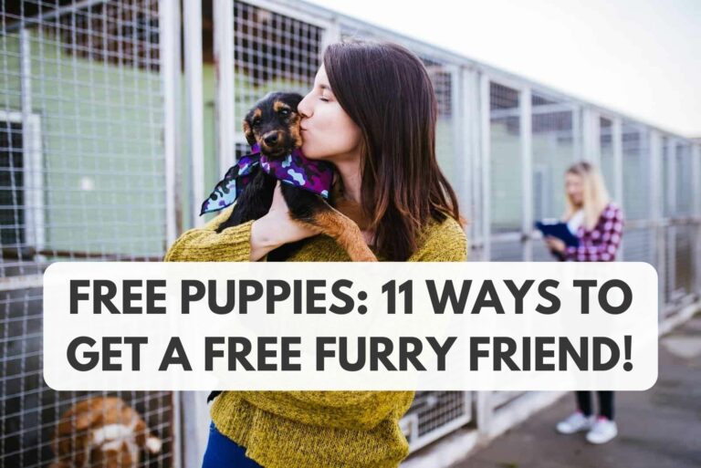 happy woman kissing puppy