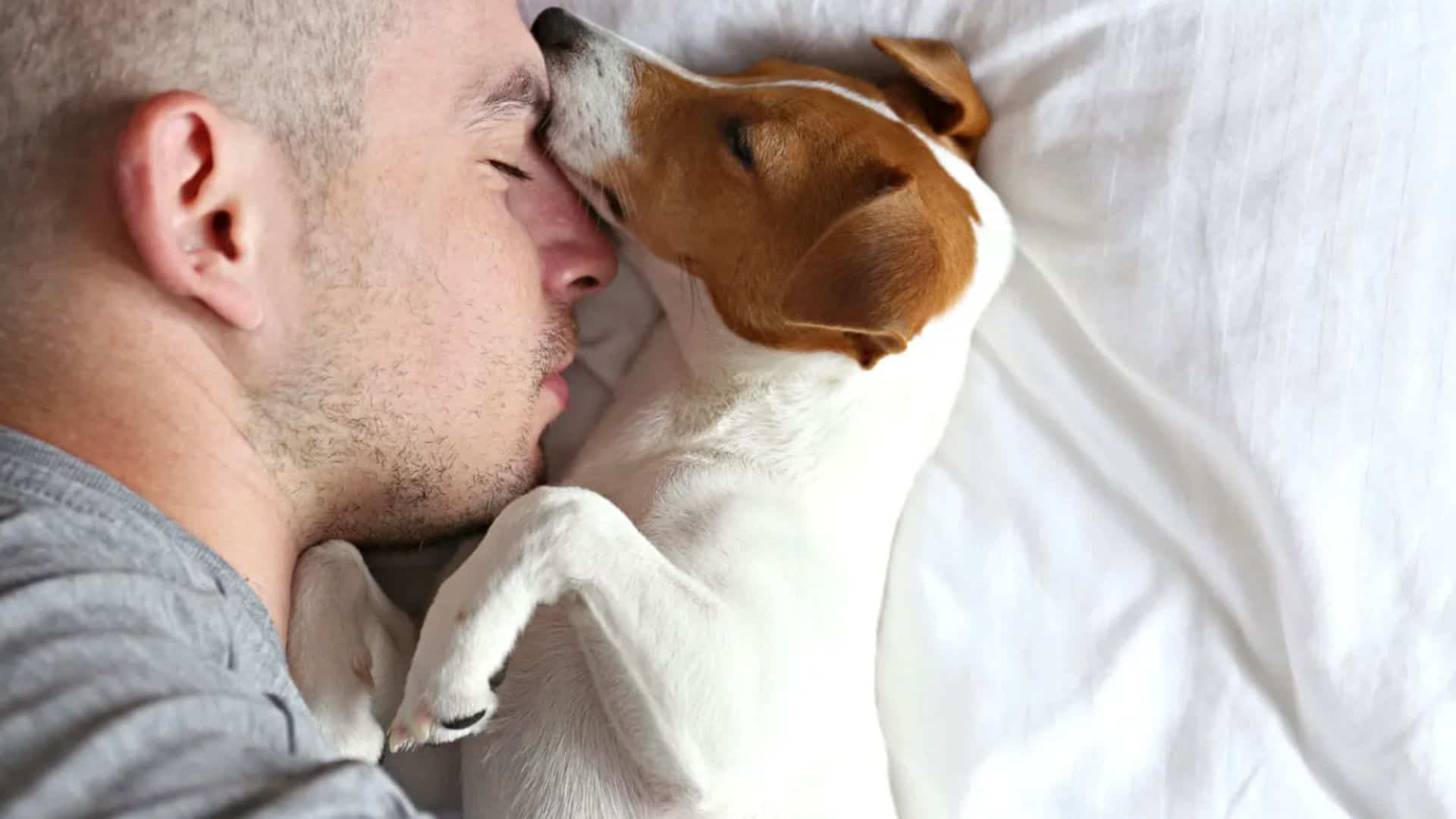 Why Does My Dog Sleep On My Head? 10 Reasons