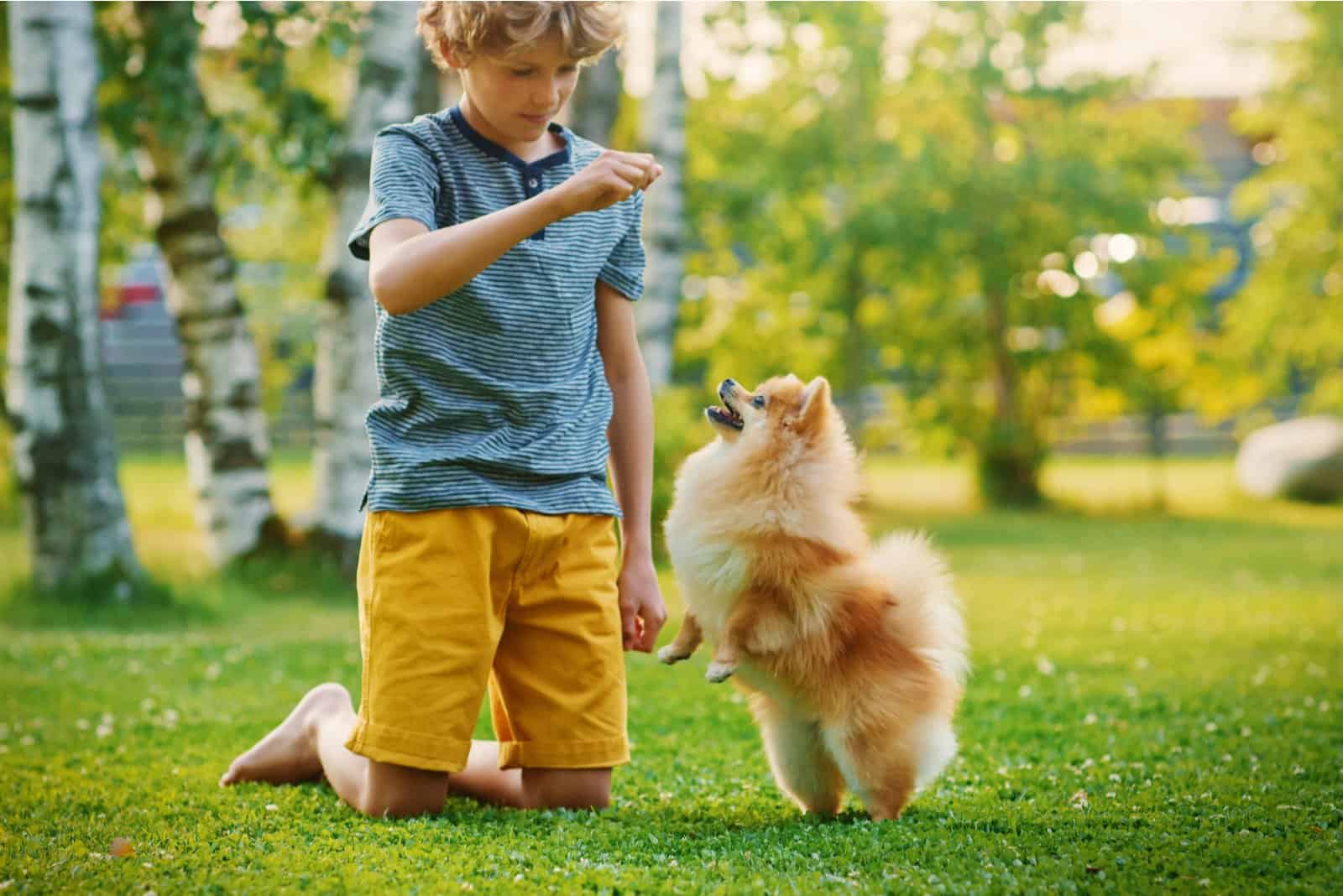 boy playing with dog in park