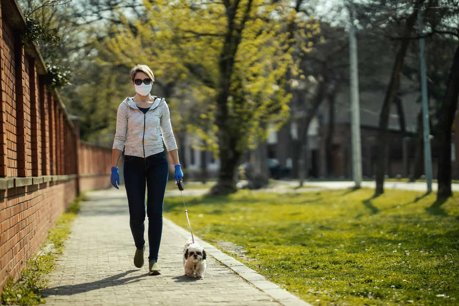 breeder walking Shih Tzu in park