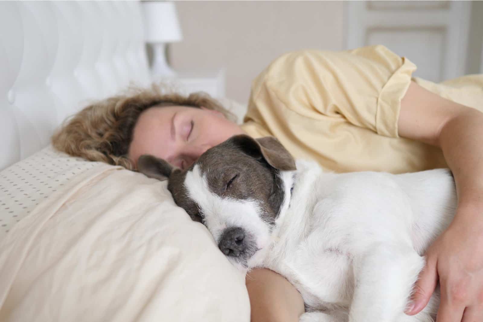 dog and woman sleeping in bed