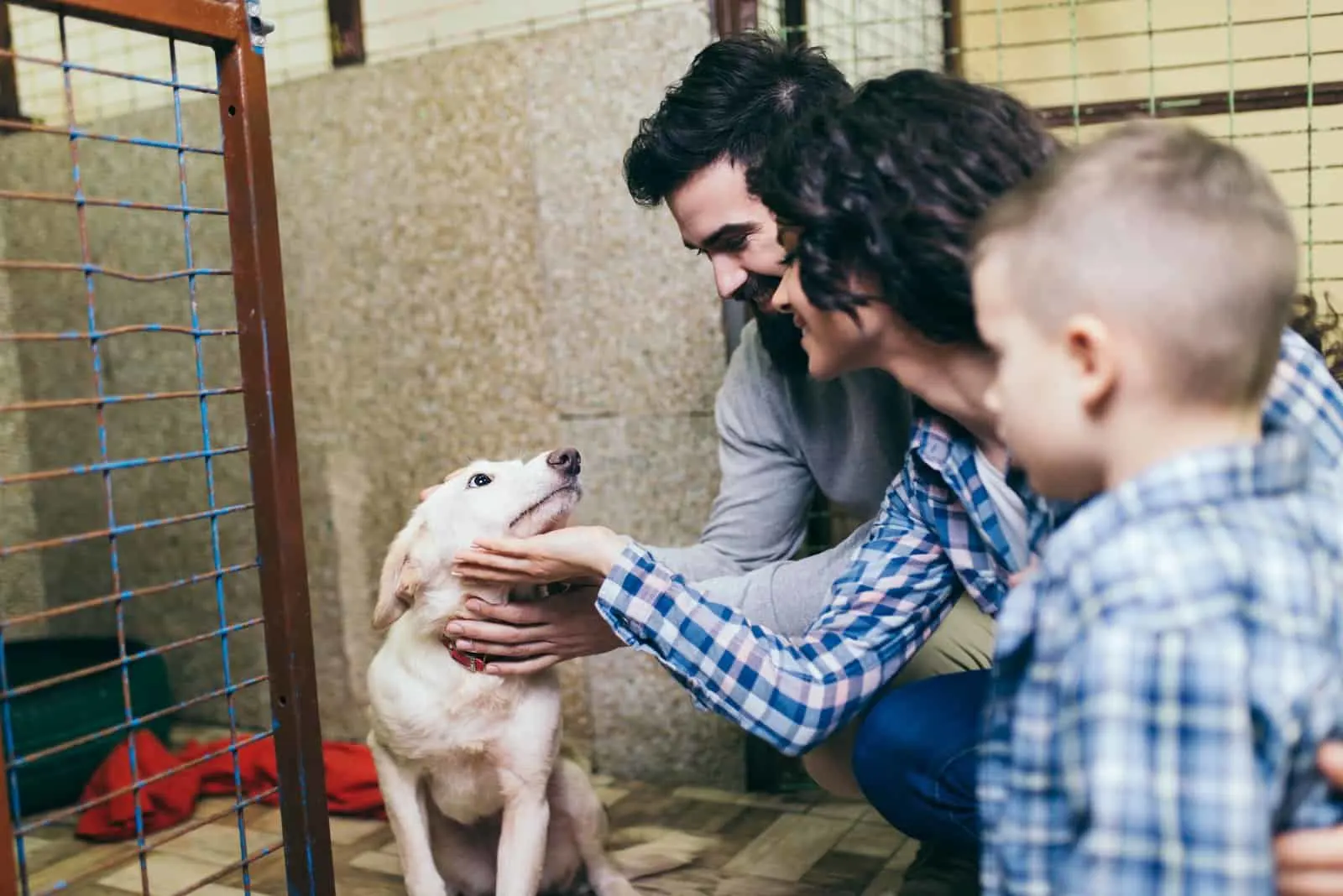 family at animal shelter petting dog