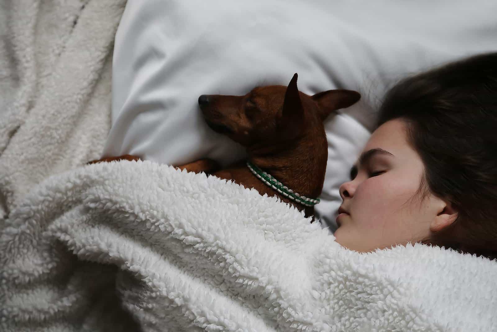 girl and dog sleeping in bed
