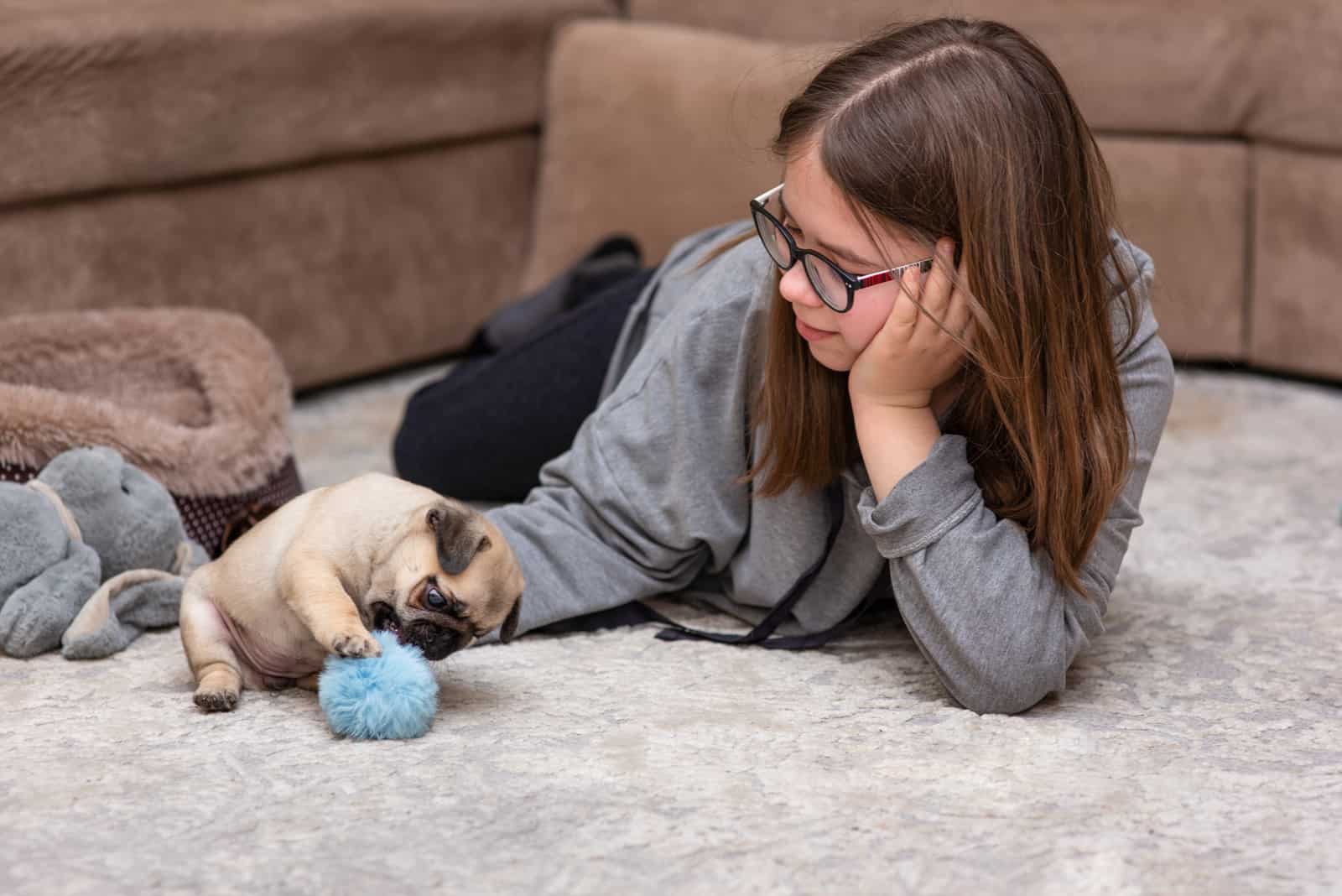 little girl playing with pug in the living room