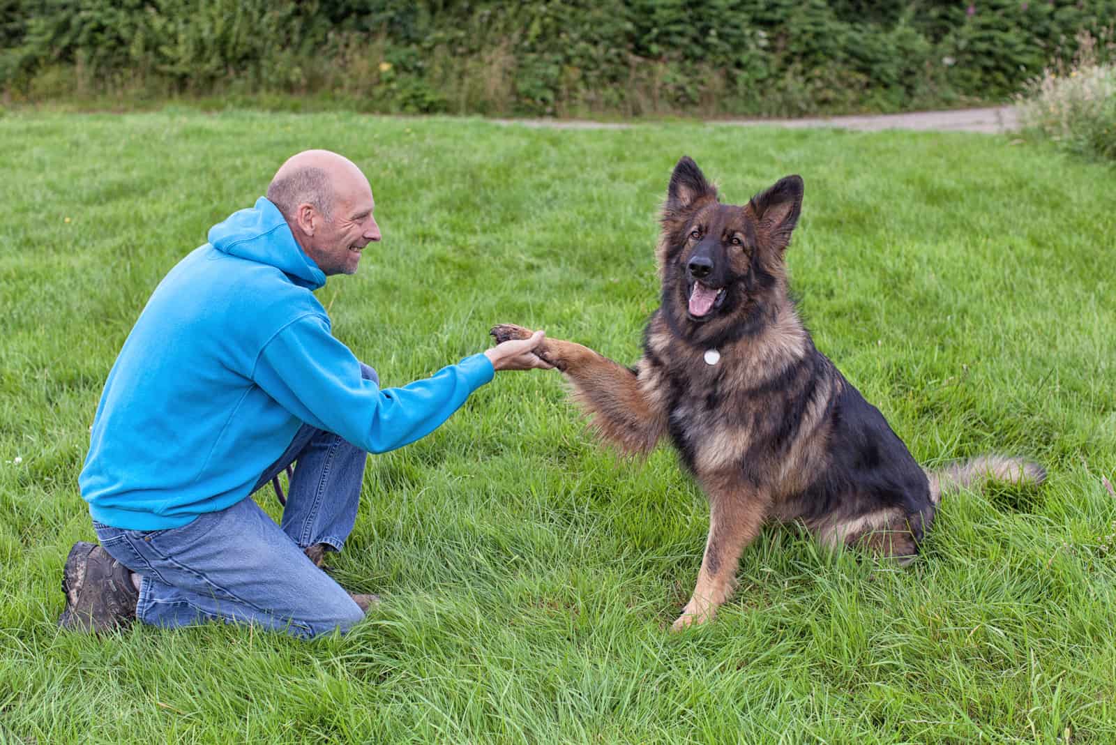 male german shepherd breeders in florida playing with dog