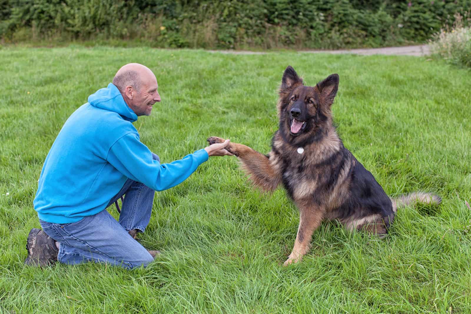 male german shepherd breeders in florida playing with dog