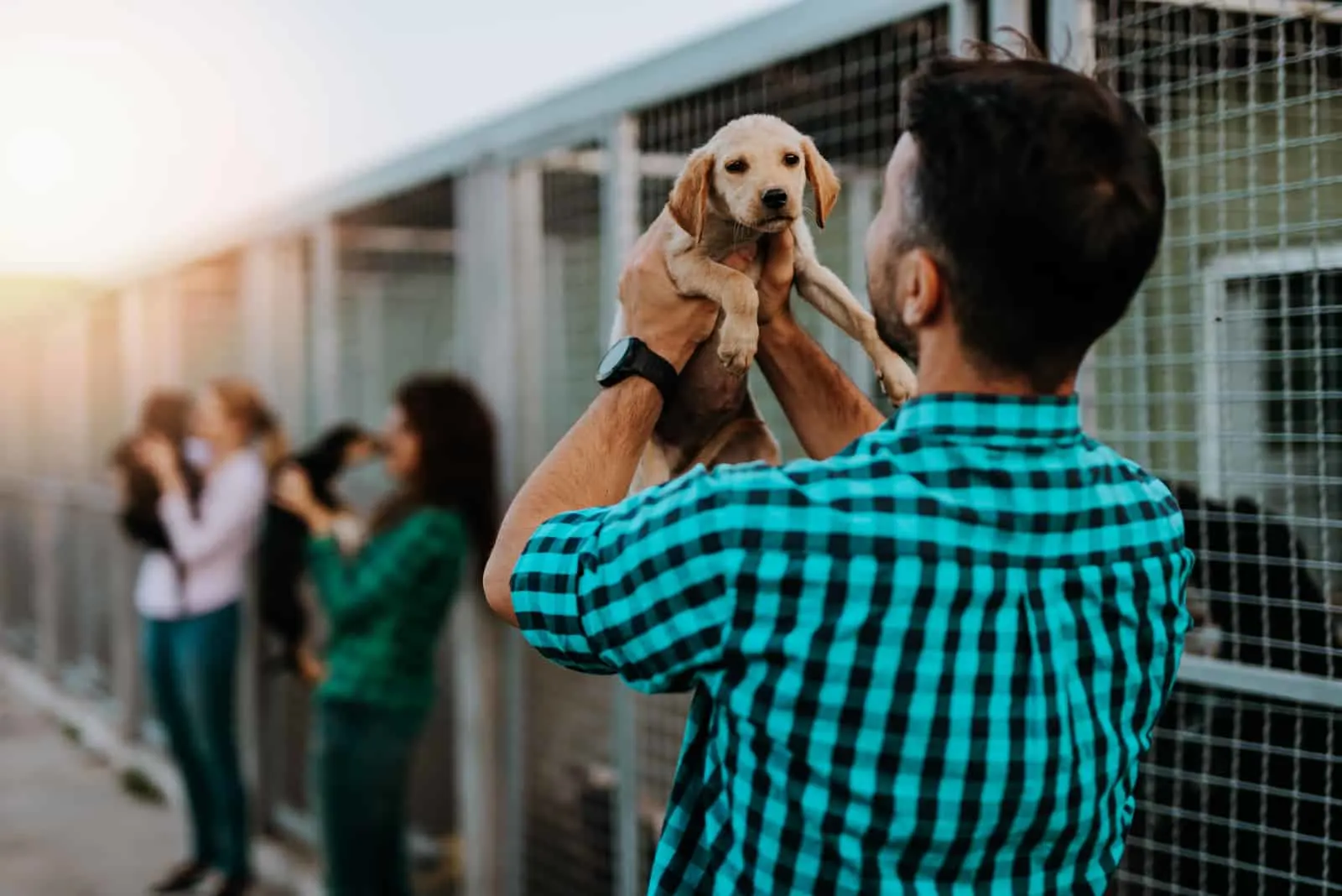 man holding dog at animal shelter