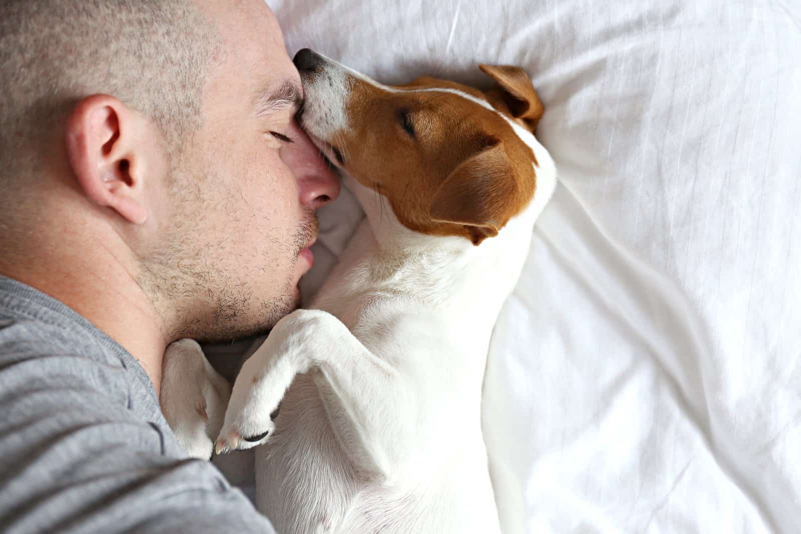 men and dog sleeping