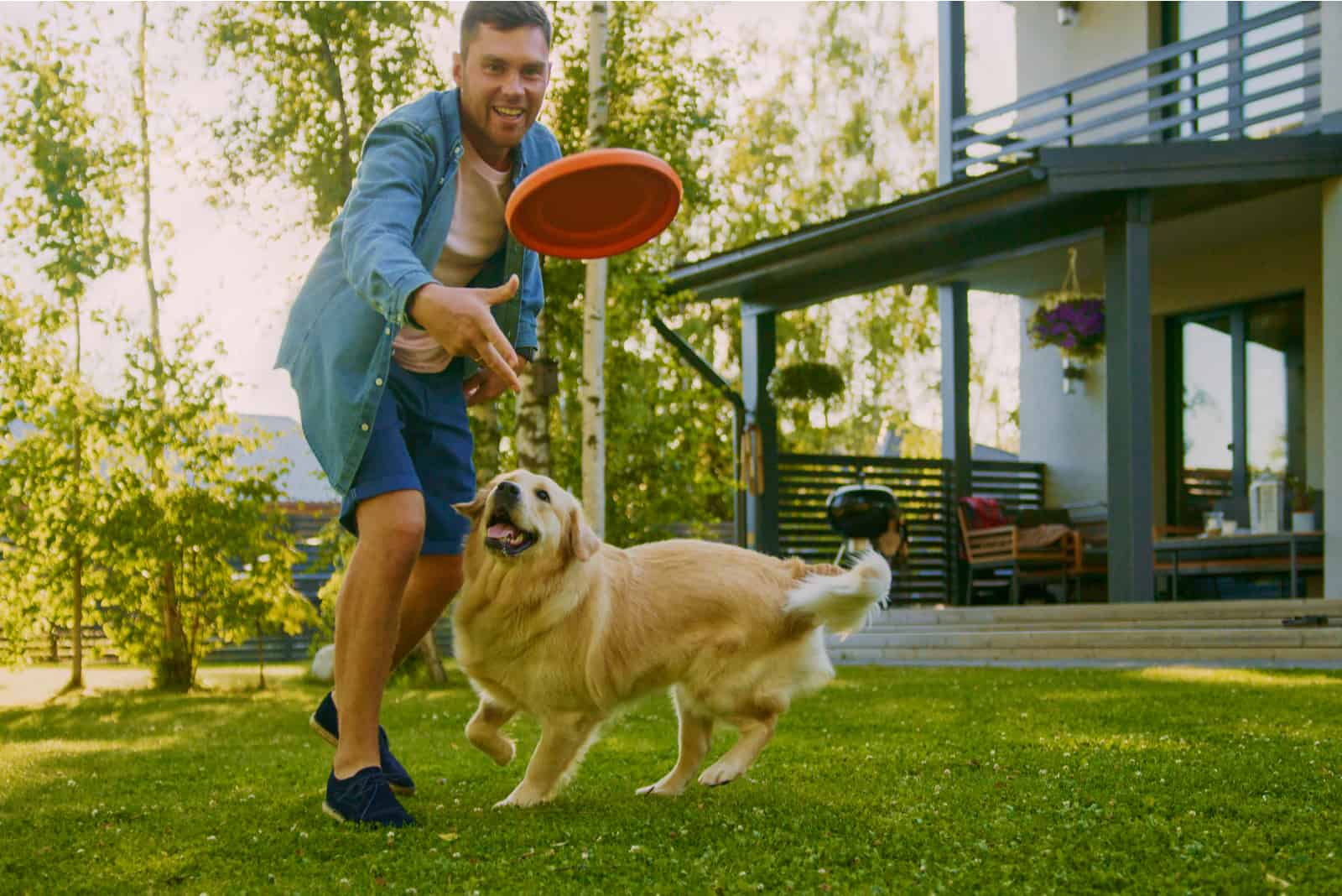 owner and dog playing outside