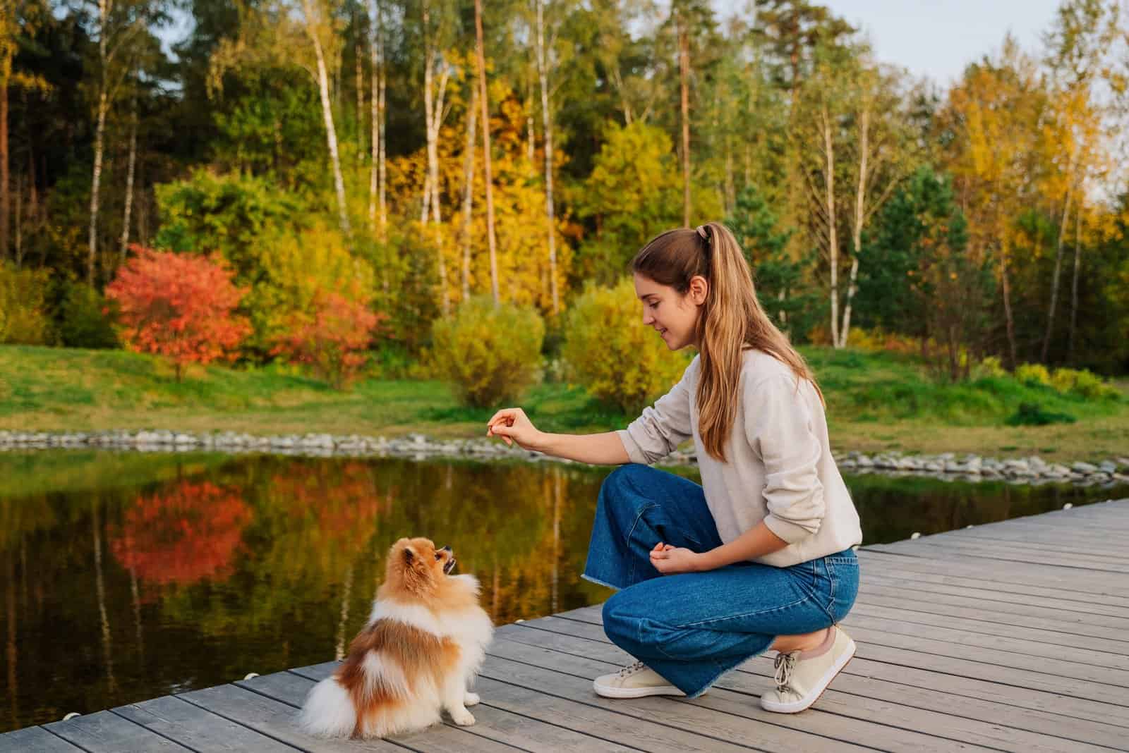 owner training Pomeranian on dock by lake