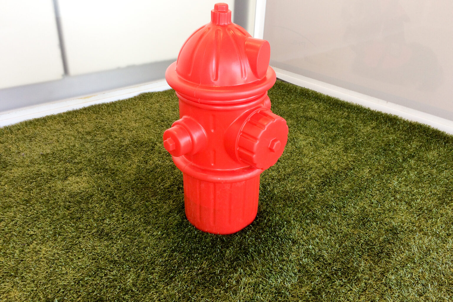 Fire Hydrant For Dogs Our 8 Favorite Picks!